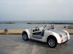 Acrea Zest 2-Seater 2006 года